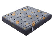 汤池印象:破解行业痛点  打造消费品牌